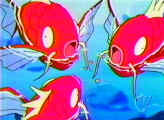 Full Magikarp are happy Magikarp!
