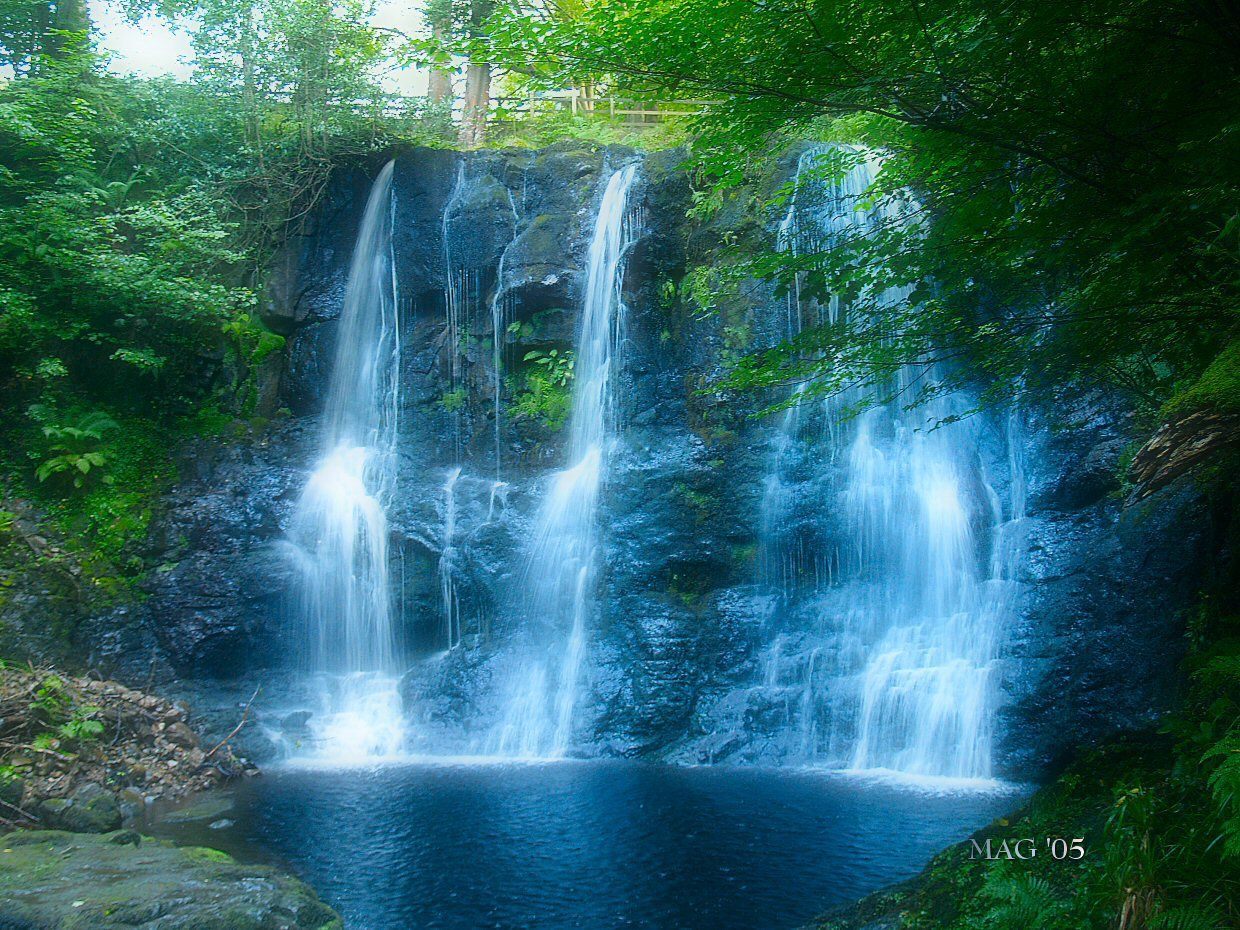 gfwaterall