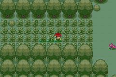 Glitched tile in Pokemon Adventure Red for creator's sake.
The tiles are all four in the straight line there. The one south of Red, the one Red is sta