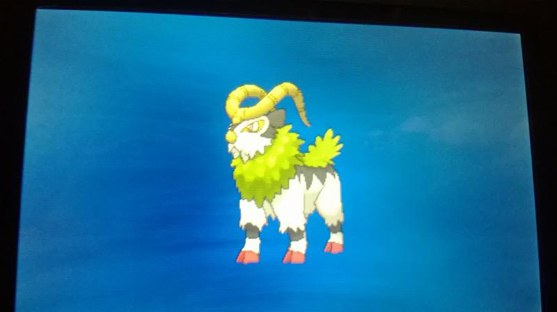 Gogoat! (evolution)