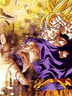 Goku Style