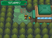 Gold and Golden Pichu
