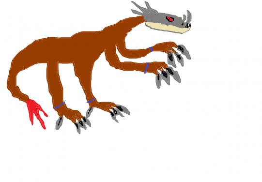 Gordora