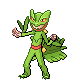 Grass Trainer Boy