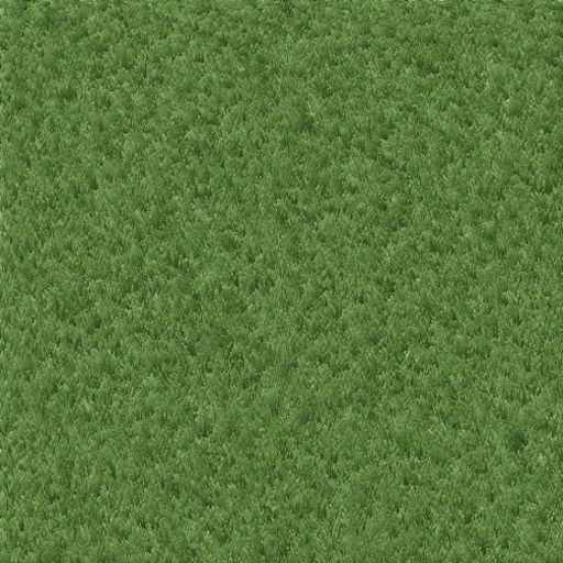 Grass.