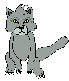 Graystripe