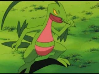 Grovyle