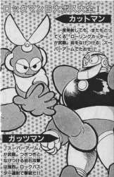 Gutsman's d... uh, Cutman's leg, of course.