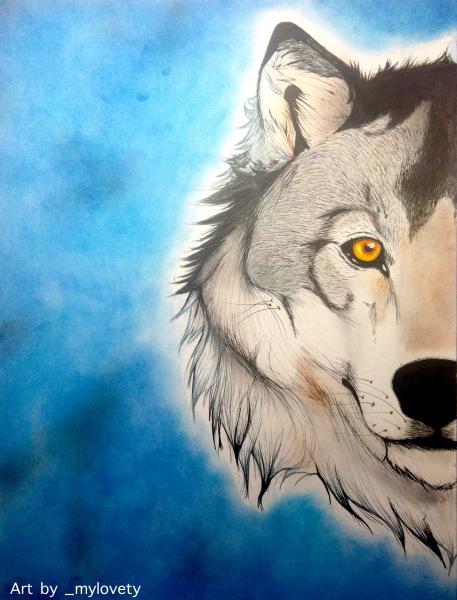 Halving Life: Grey Wolf (August 2013)