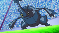 Heracross