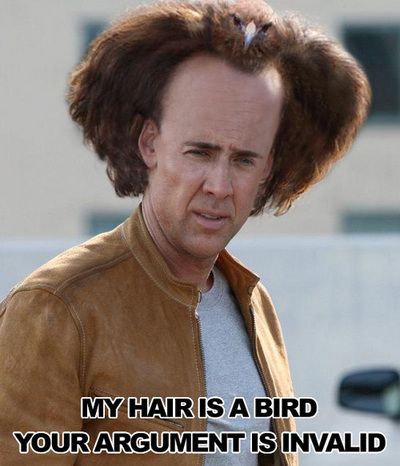 Hey...his hair is a bird.