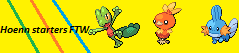 Hoenn starters mini banner