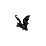 hol62