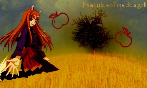 Holo