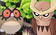 Hoothoot and Noctowl by there nest.