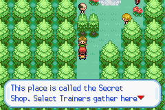 How to get here? It wouldn't be a secret shop if I told you right?
