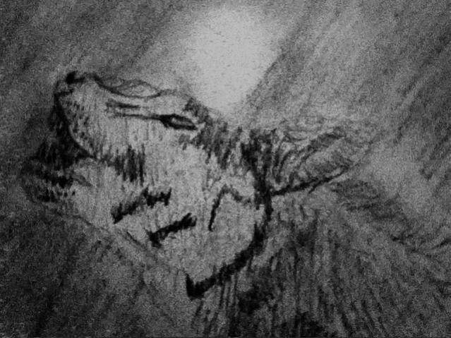 Howl (Wolf drawing by me)