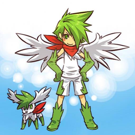 Human sky forme Shaymin