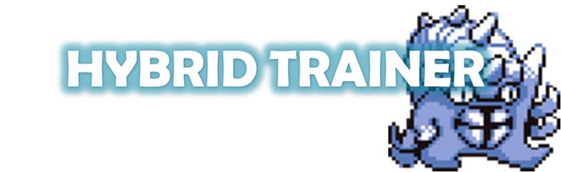 Hybrid Trainer