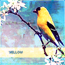 I change my avatars like underwear.