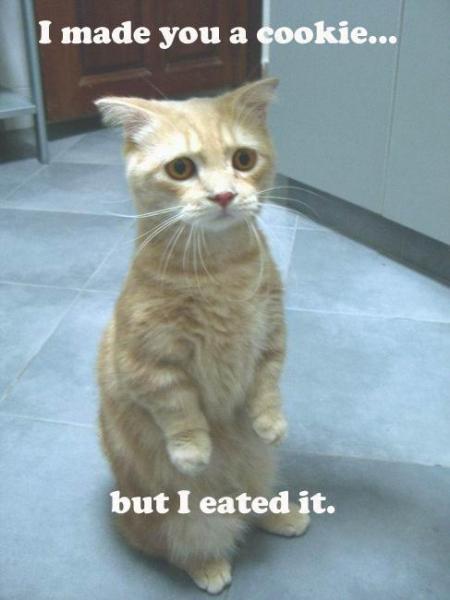 I eated teh cookie. D:

-Also donated by *Dark*Master-