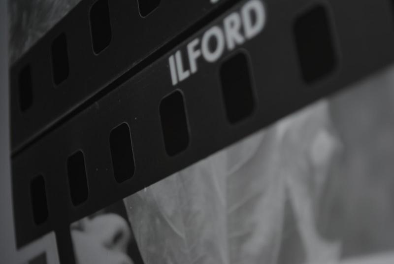 I enlarged two of my photo reels in the darkroom, then took a photo of the photo that I developed, funny aye?