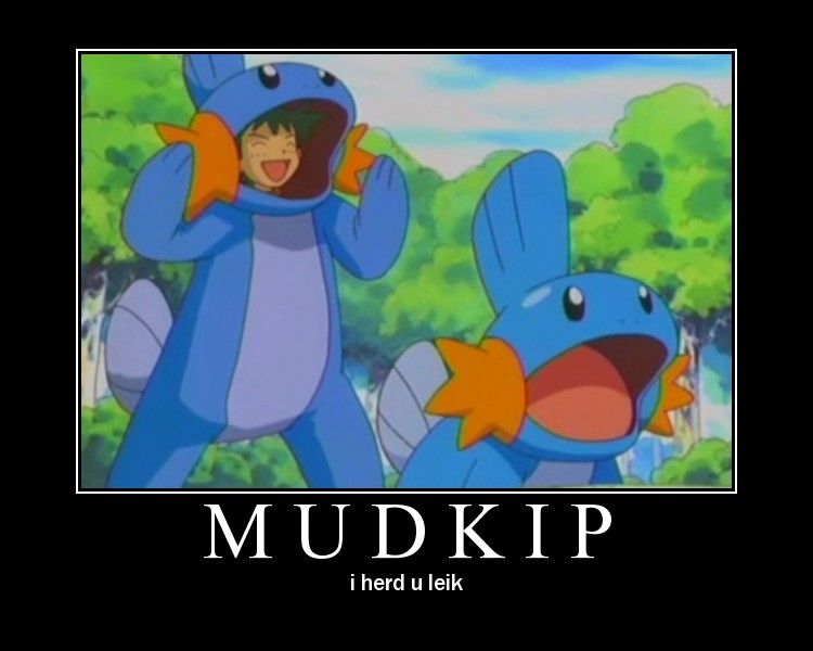 i herd you leik mudkipz