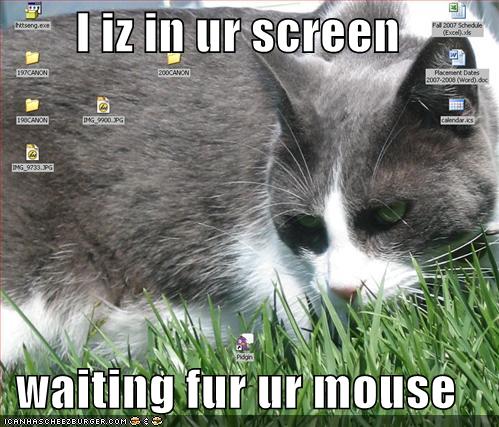 I iz in ur screen!