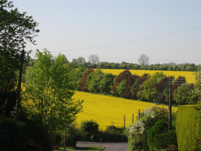 I live in a nice place