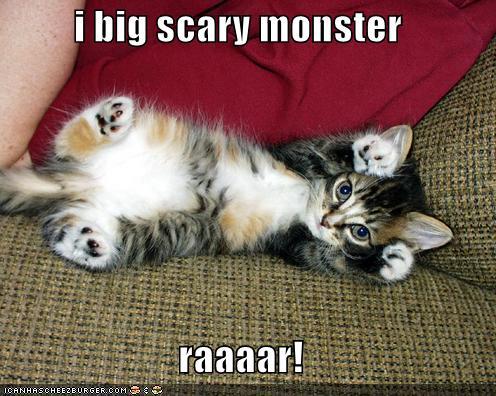I said this was kayla, but she said no, so i claim this pictures as me!!!! ^_^