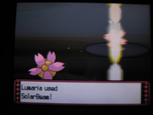 I tried to take pictures of all the attacks used but Magical Leaf is impossible to get on camera. :(