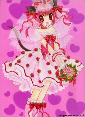 Ichigo's wedding