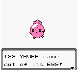 IGGLYBUFF came out of its EGG!
