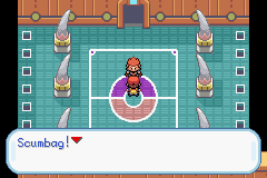 I'm finally the champion!
...
Wait, what?