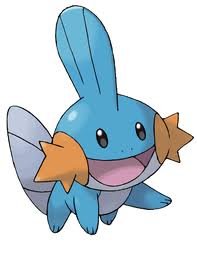 images (11)