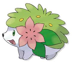 images (12)