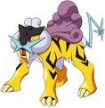 images23