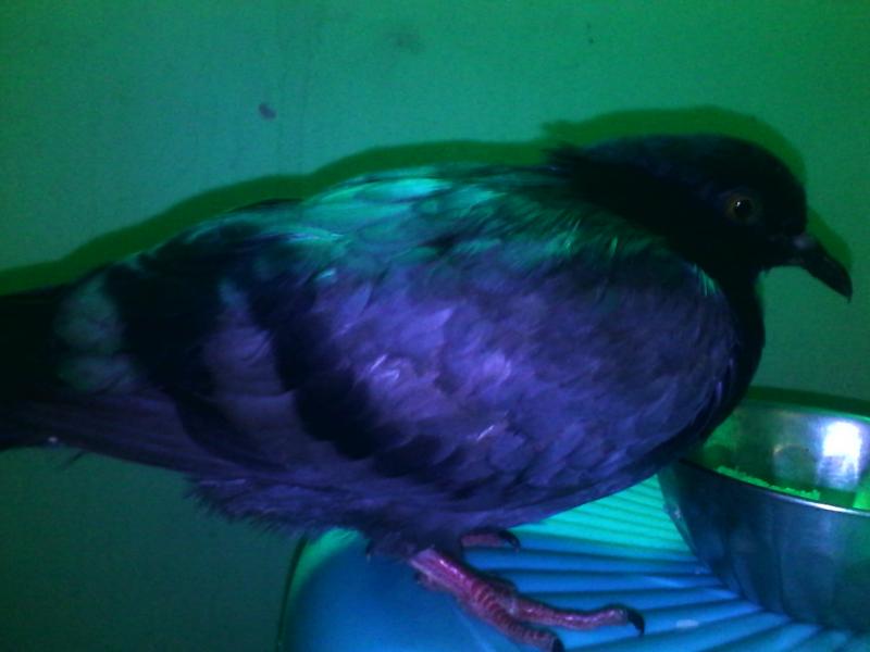 IMG 20160425 151548