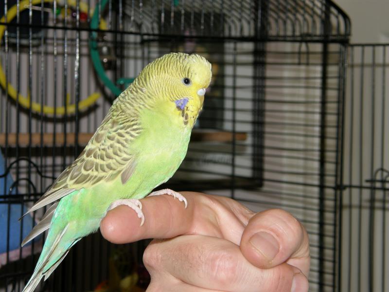 Imported Photos 00388
