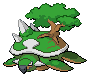 Island Turtle