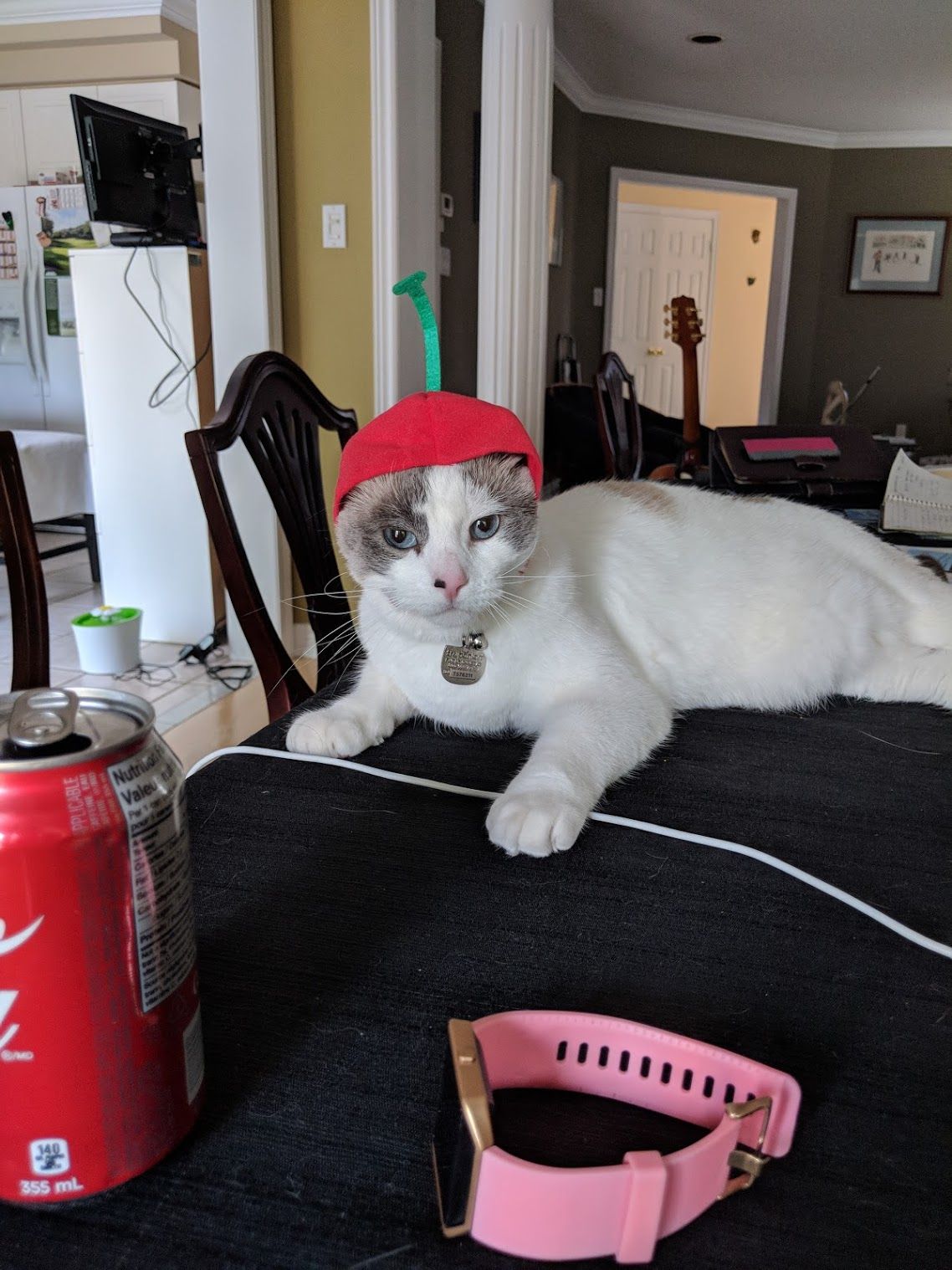 jude looking not so pleased with the cherry hat souvenir i brought home for him from japan