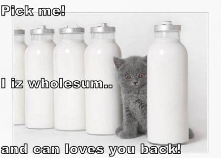 *jumps up and down* Pick Neko! Pick Neko!!! xD *dies*
