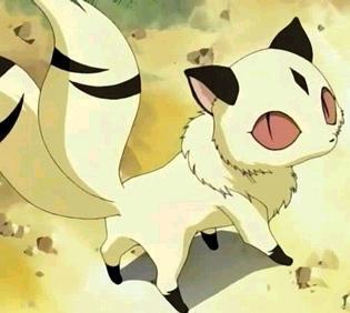 Kirara: Ummm...why are you staring at meh? o.o