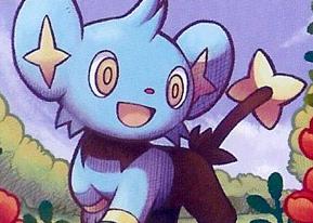 Koro (my male Shinx) in my garden