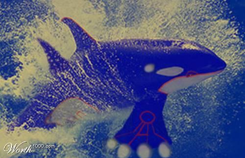 Kyogre