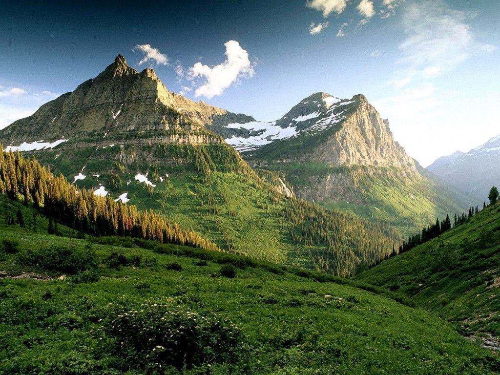 land