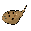 Lesser Electric Ray