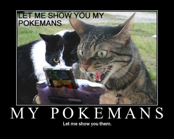 Let me show you my POKEMANS