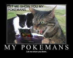 Let me show you my Pokemans!