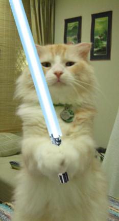 Lightsaber cat